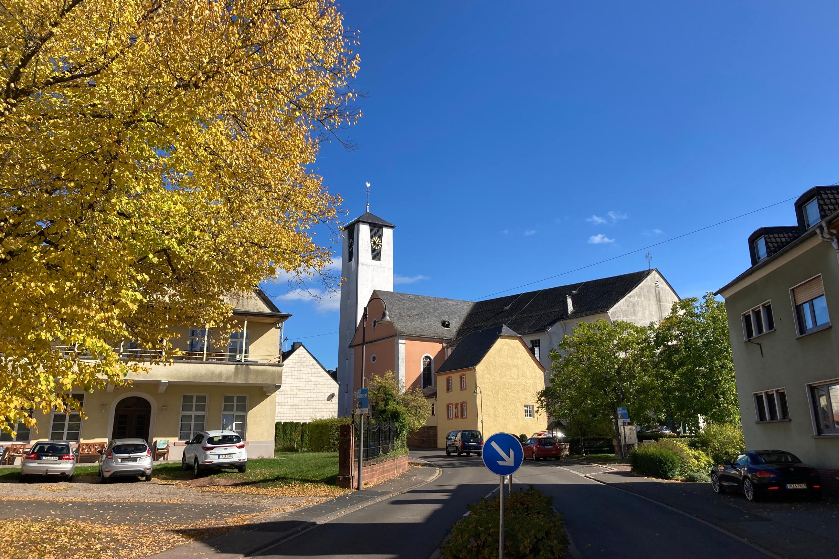 Föhren von der Straße