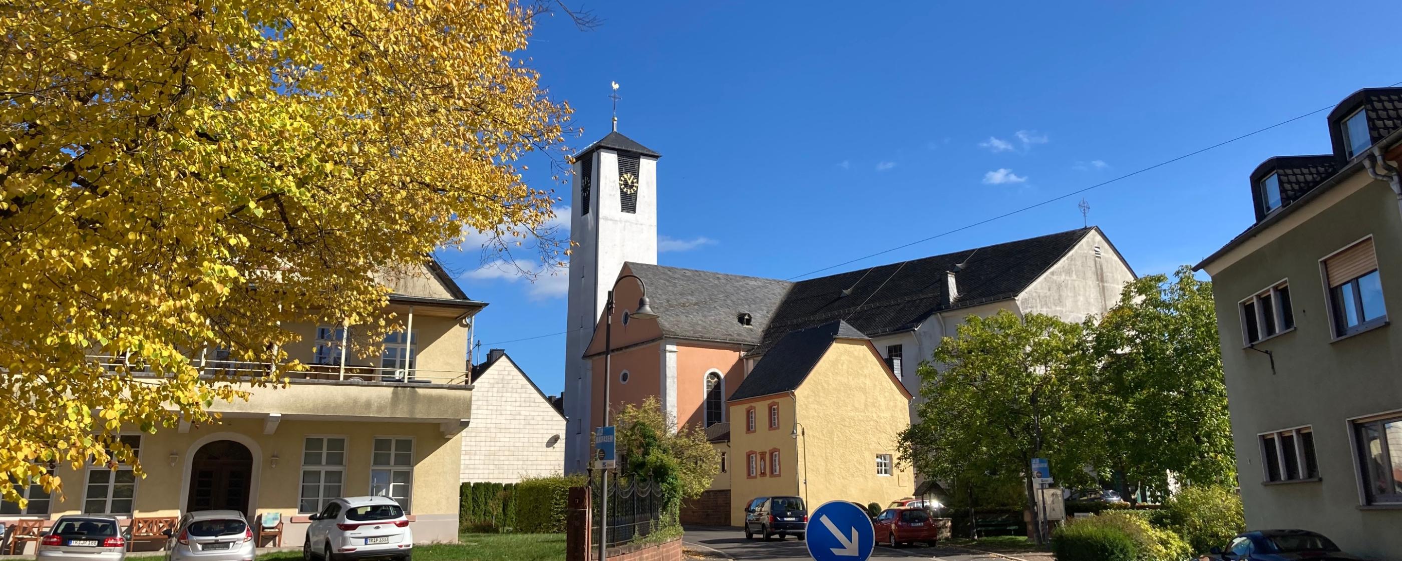 Föhren von der Straße