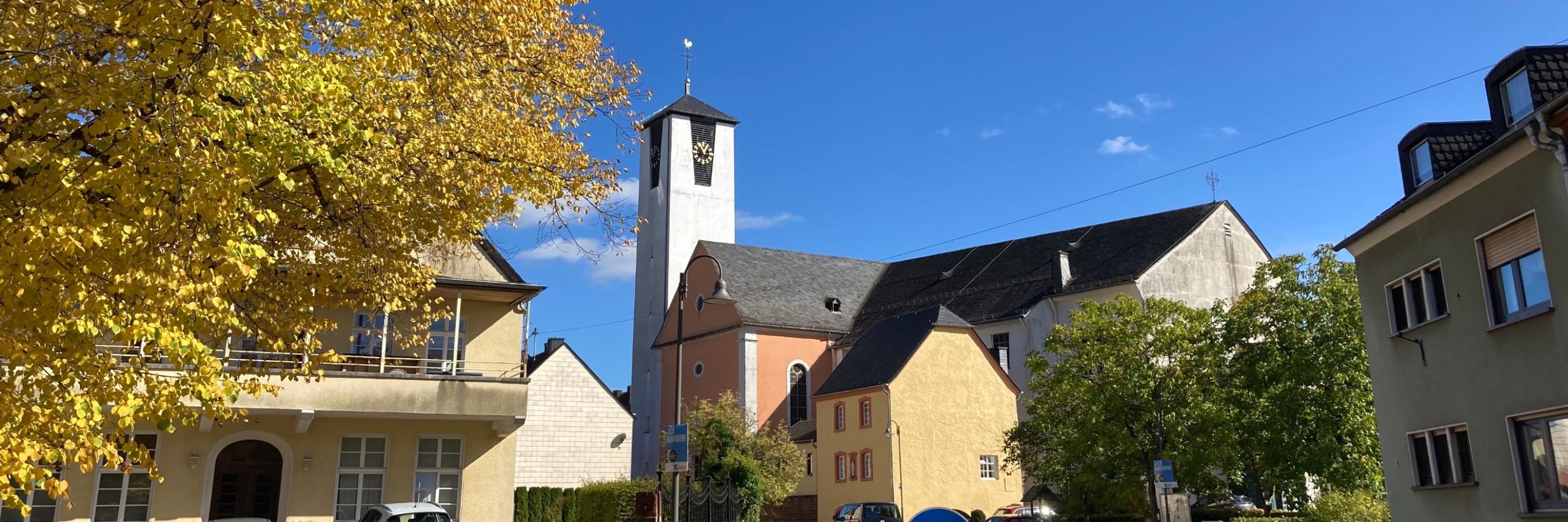 Föhren von der Straße