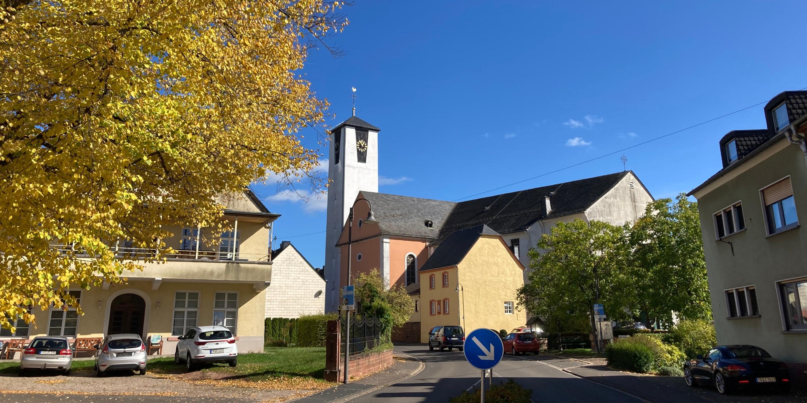 Föhren von der Straße