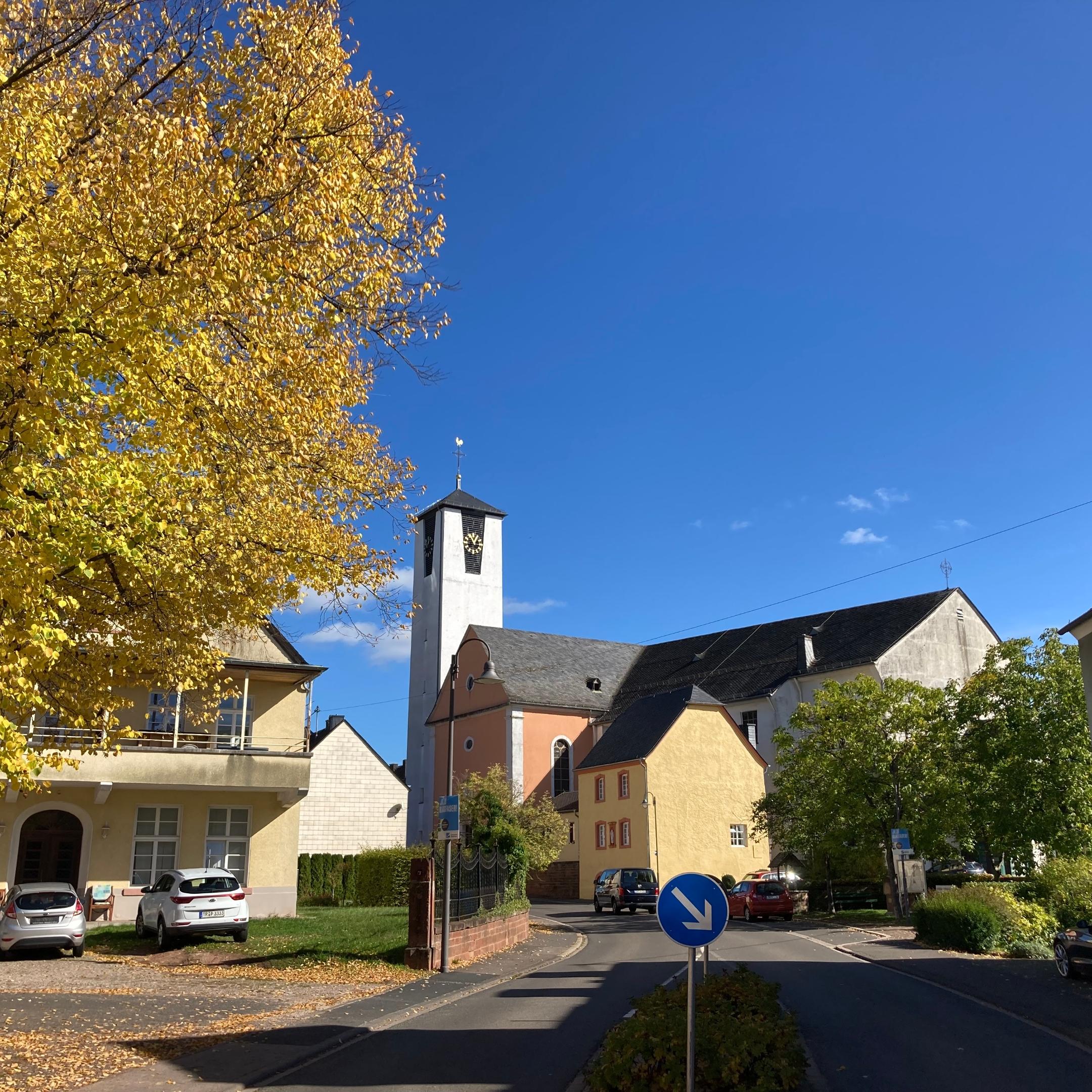 Föhren von der Straße