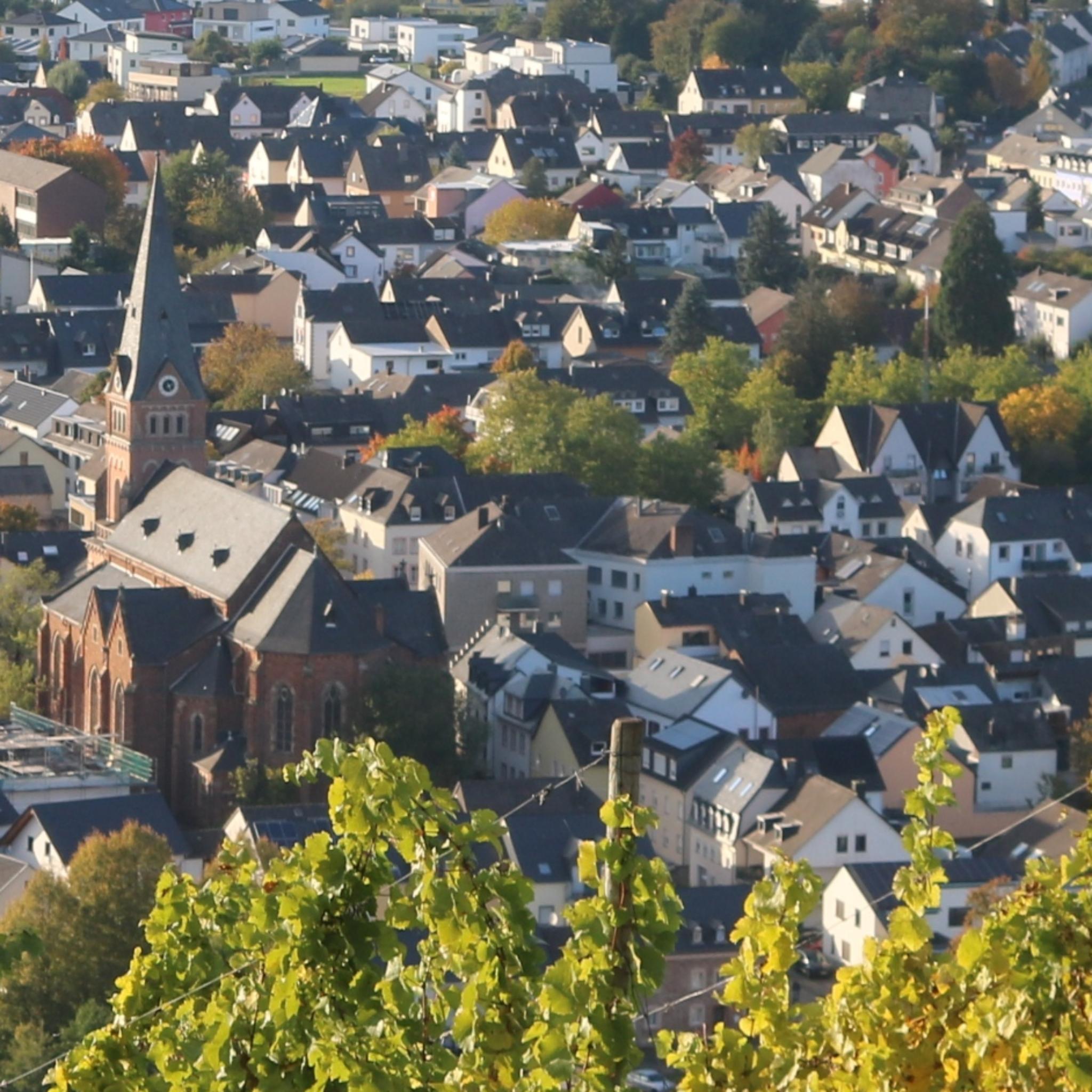 Schweich aus der Ferne 2