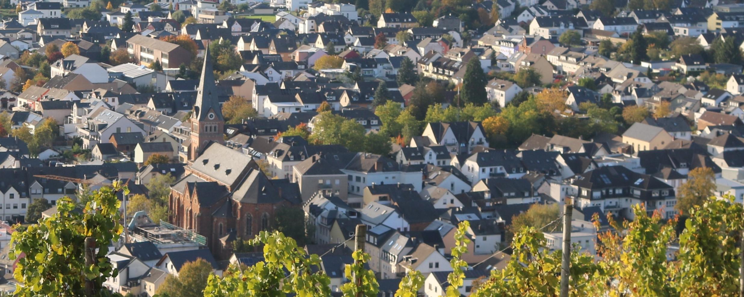 Schweich aus der Ferne 2