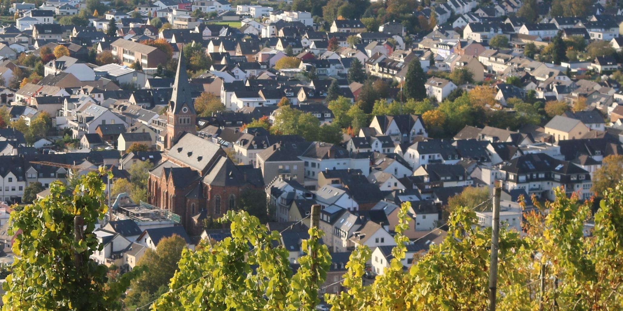 Schweich aus der Ferne 2