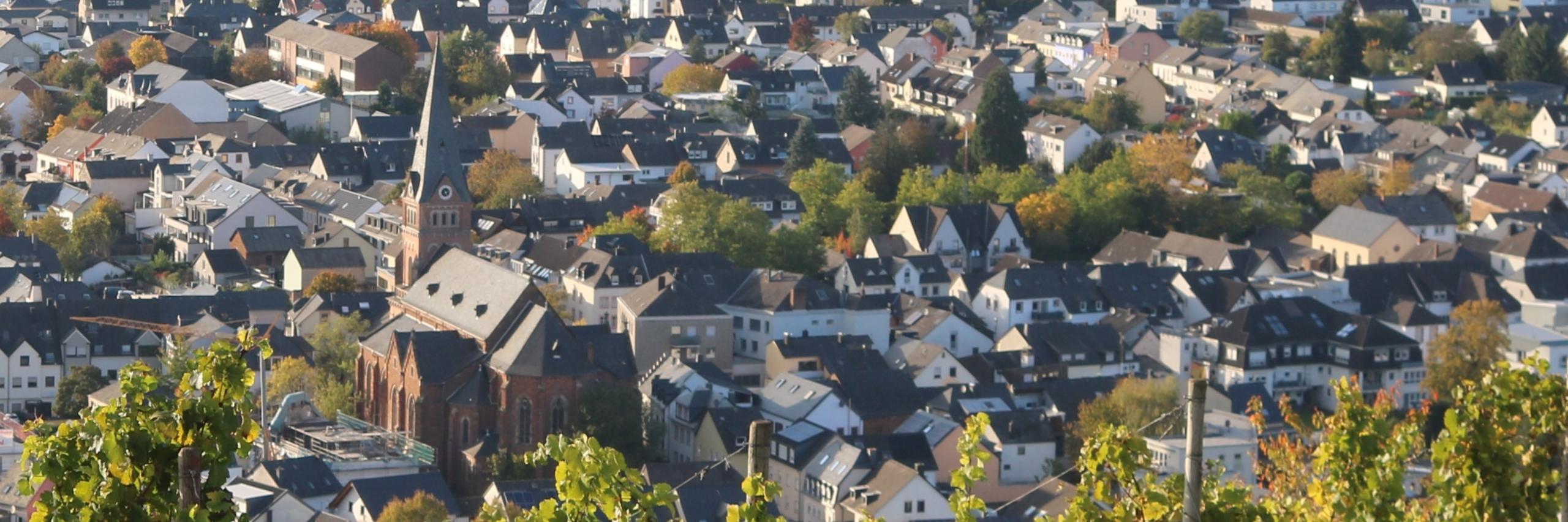 Schweich aus der Ferne 2