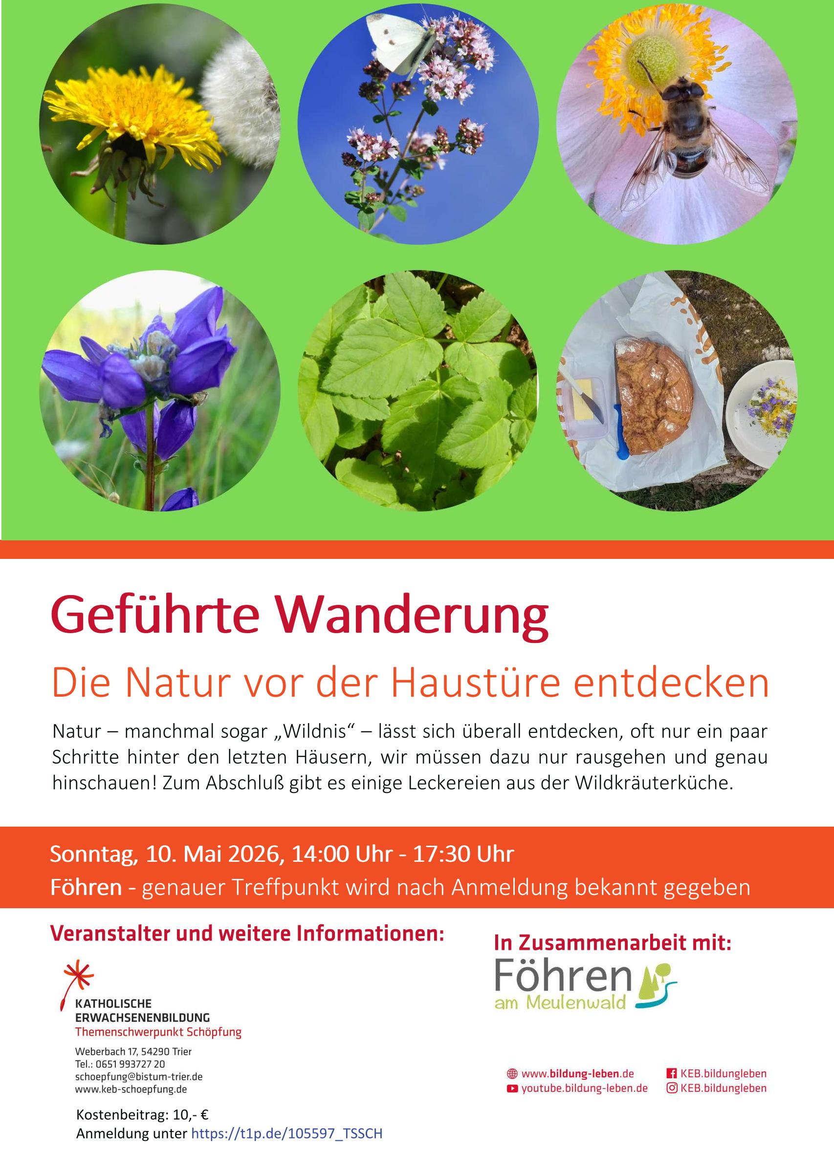 Kräuterwanderung Föhre