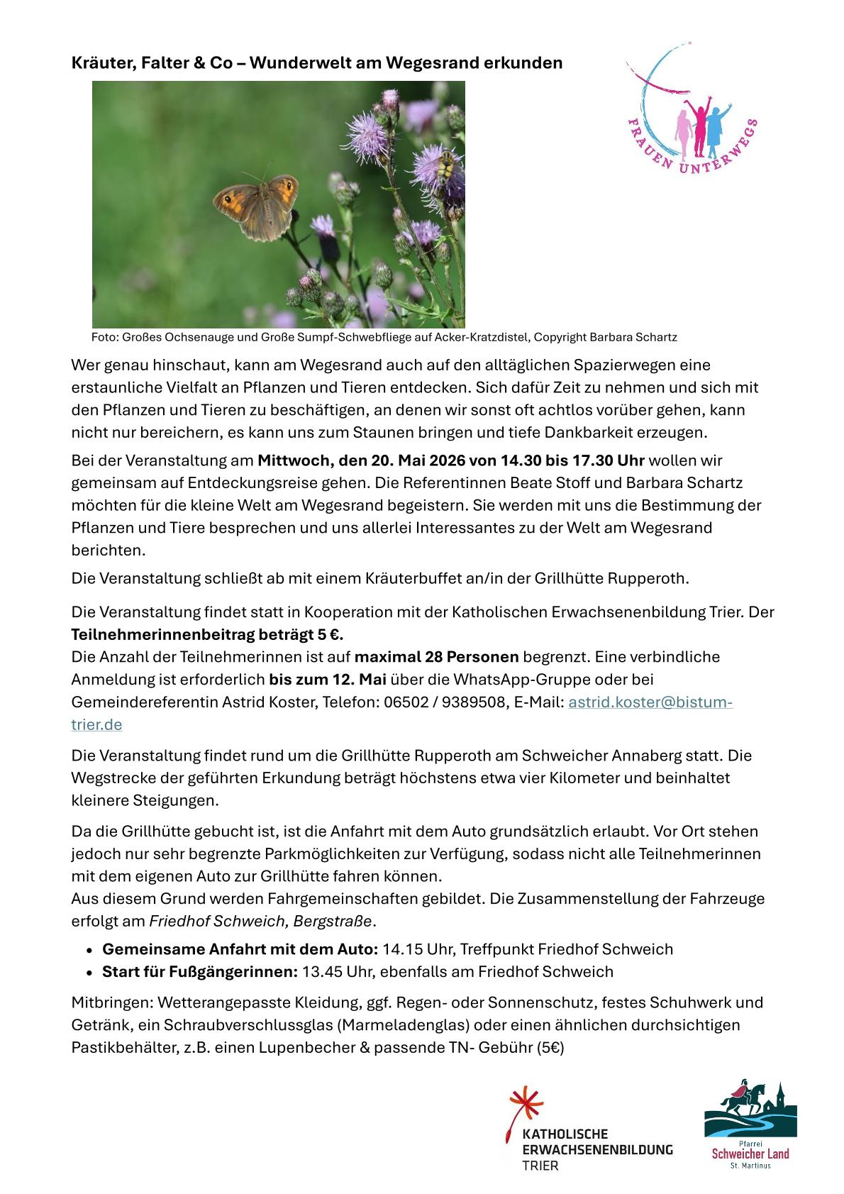 Kräuterwanderung Frauen unterwegs