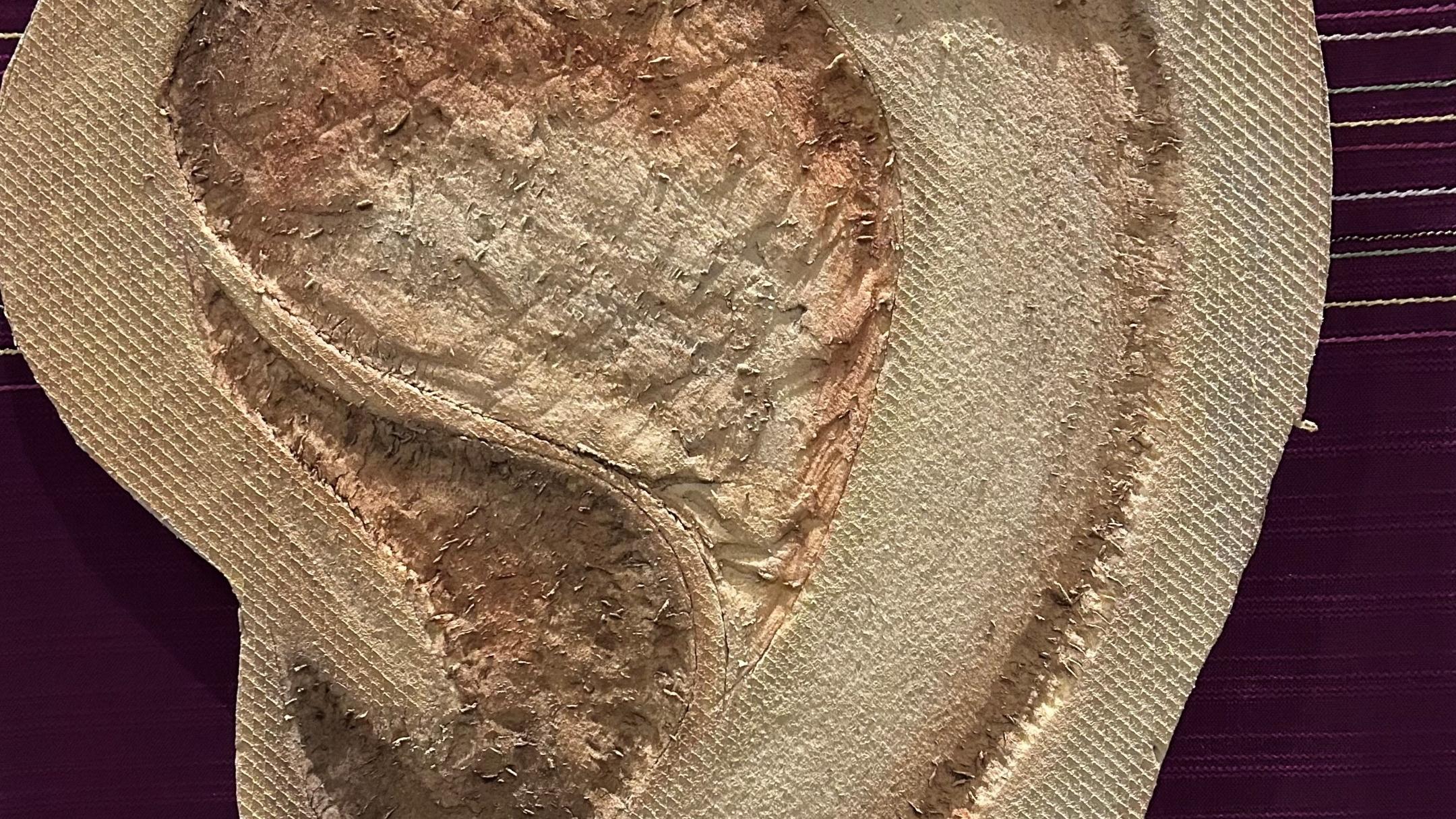 2026-02-18 Hör auf die Stimme