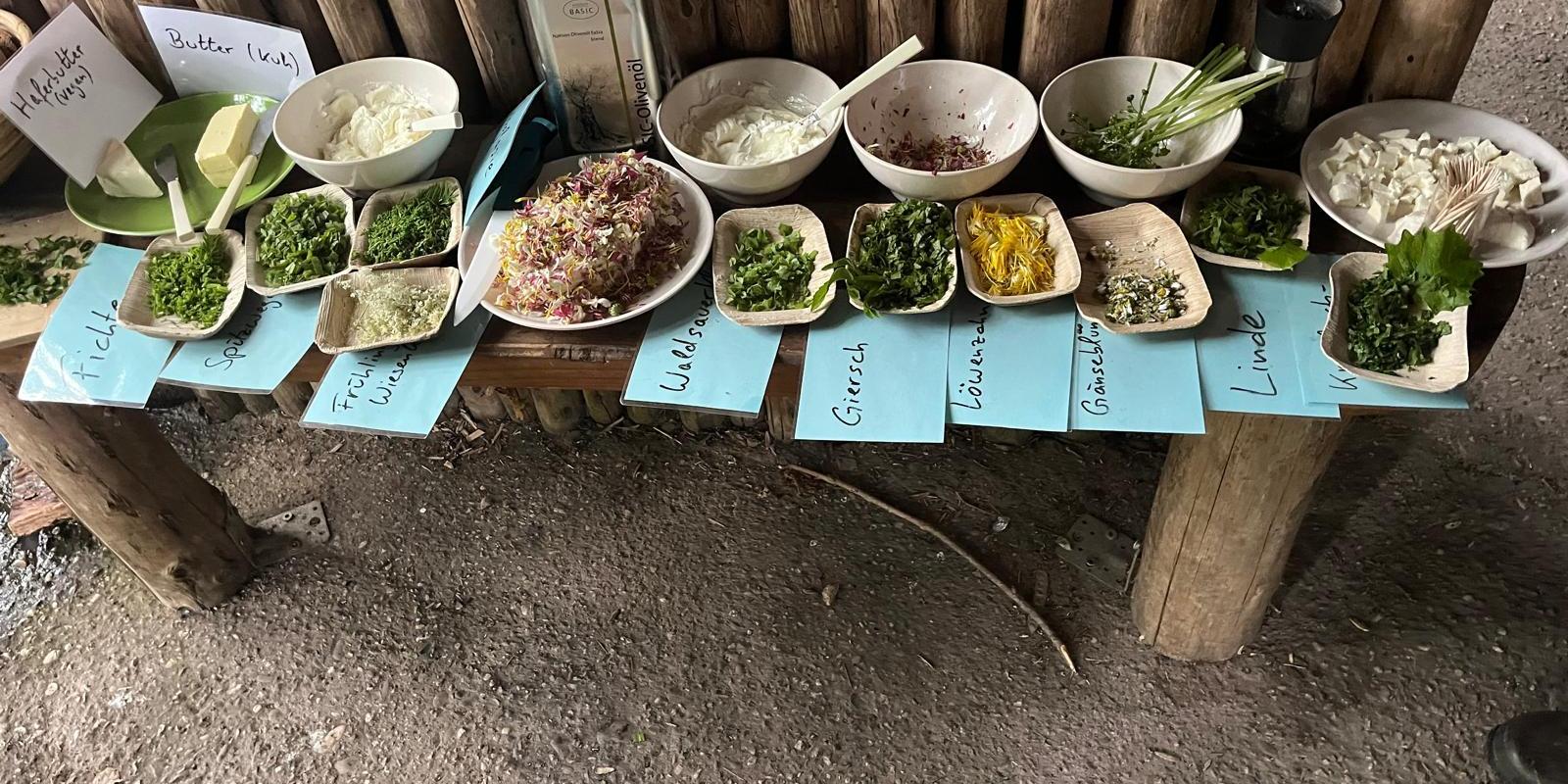 2026-05-20 frauen unterwegs Kräuterbuffet