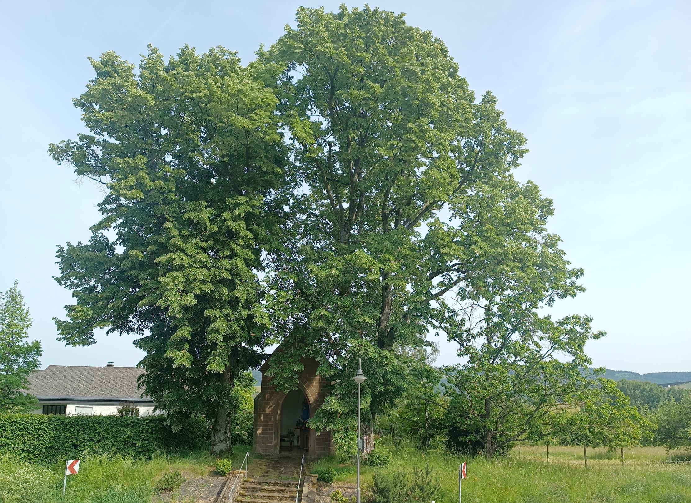 2026-05-26 Marienkapelle Föhren