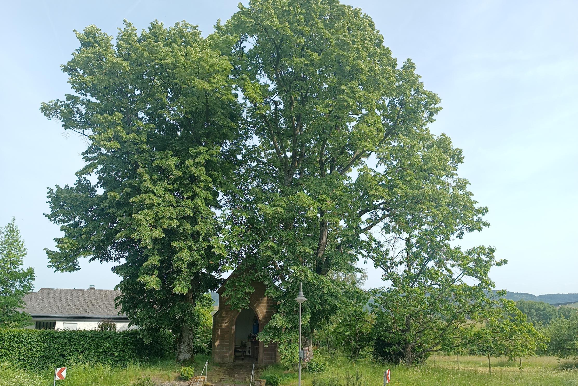 2026-05-26 Marienkapelle Föhren
