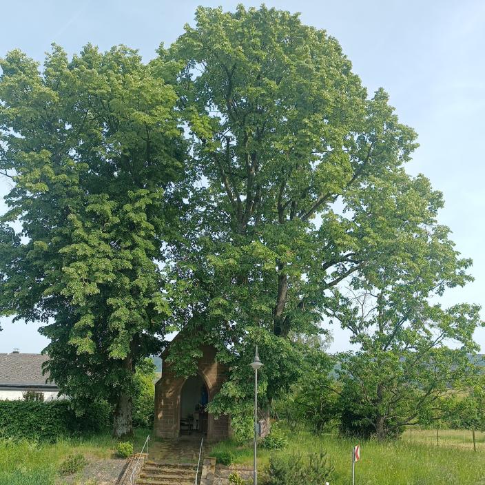 2026-05-26 Marienkapelle Föhren
