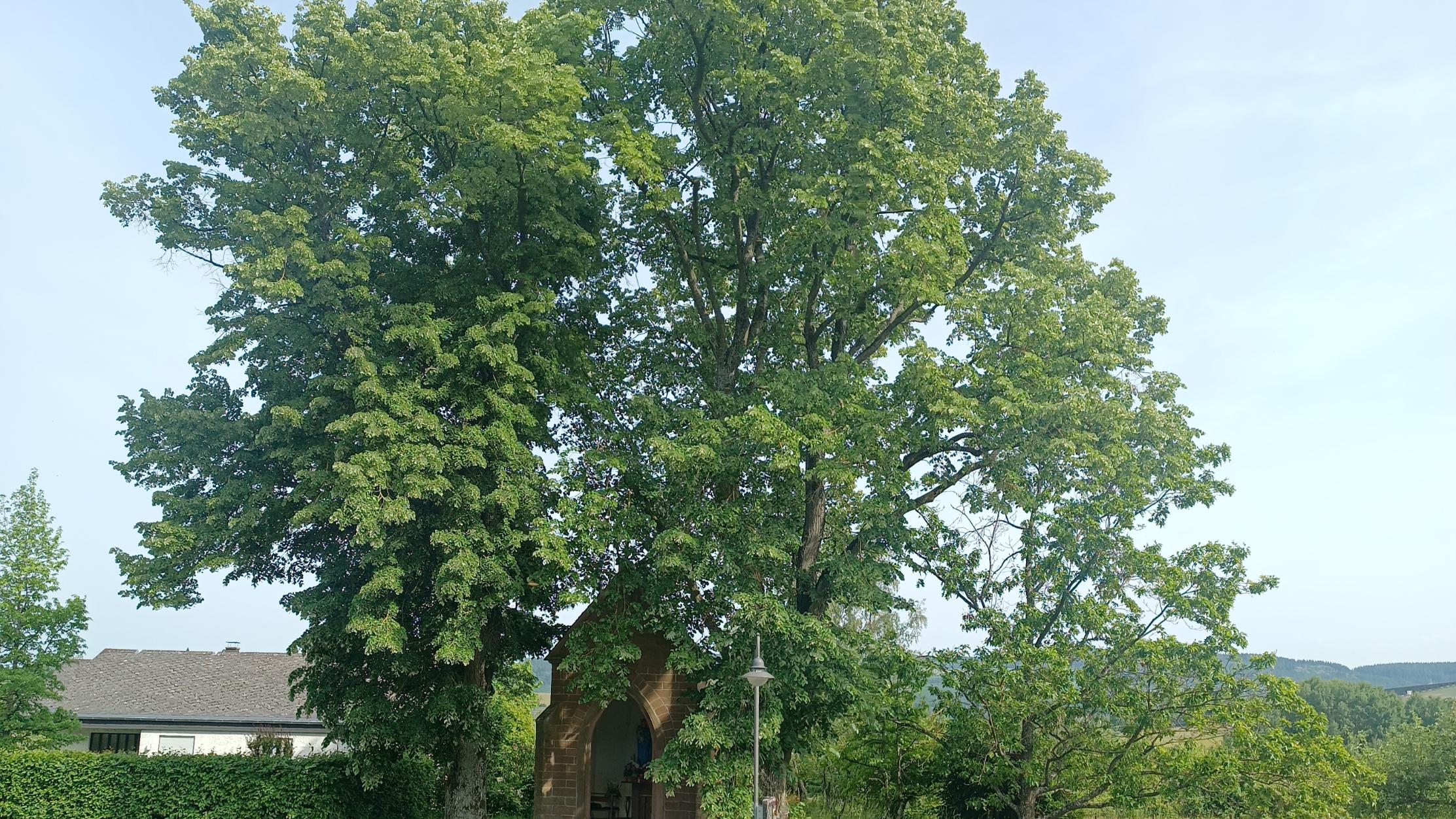 2026-05-26 Marienkapelle Föhren