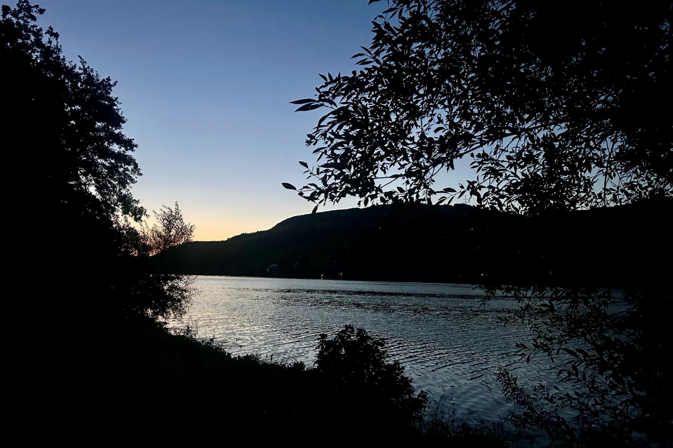2026-08-07 Fledermauswanderung Riol