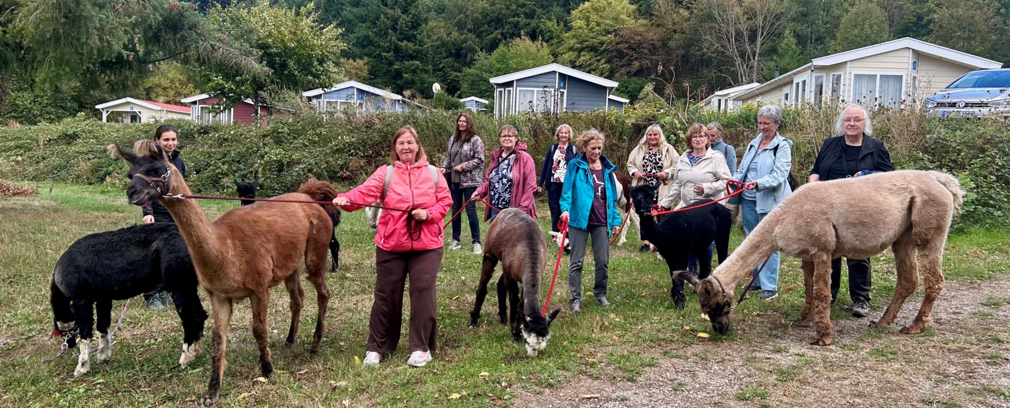 Die Teilnehmerinnen des Lebenscafés Schweich gemeinsam mit Pauline Adams bei der Alpakawanderung in Riol.