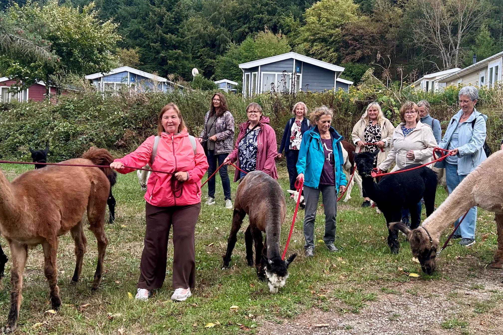 Die Teilnehmerinnen des Lebenscafés Schweich gemeinsam mit Pauline Adams bei der Alpakawanderung in Riol.