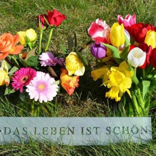 2 bunte Frühlingsblumensträuße auf grüner Wiese