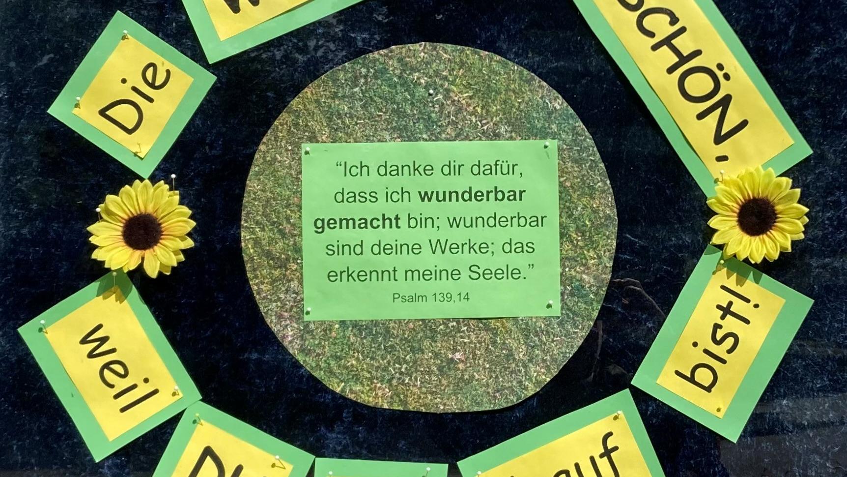 Die Welt ist schön